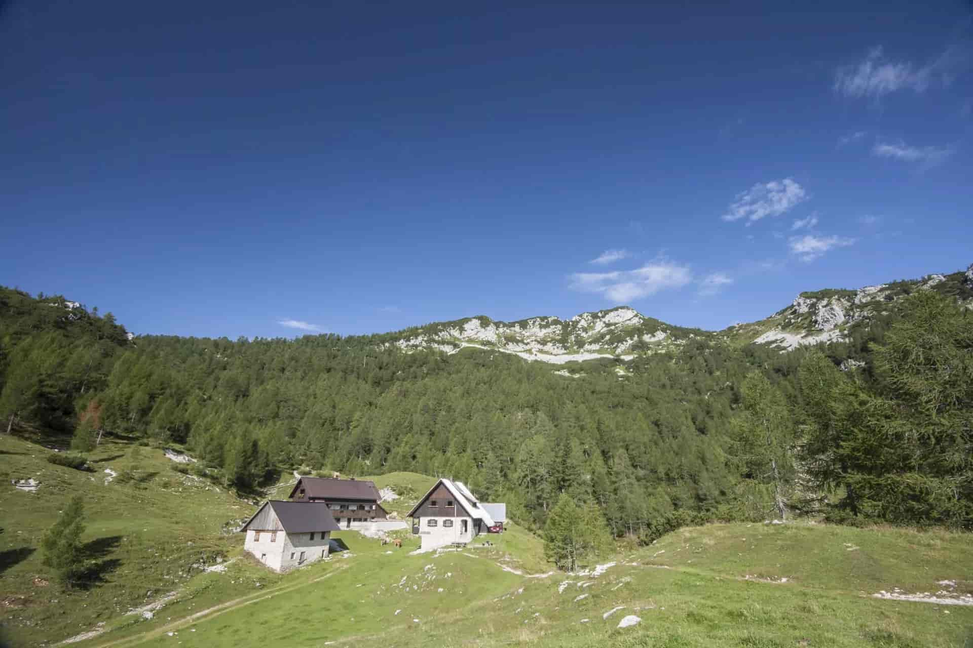 Mountain huts on grassy slope below forested, rocky peaks under a clear blue sky.