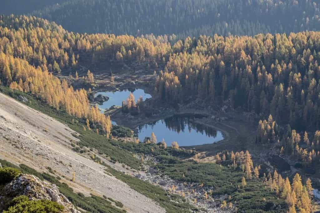 Double mountain lakes surrounded by golden autumn forest and steep rocky slope, aerial view.