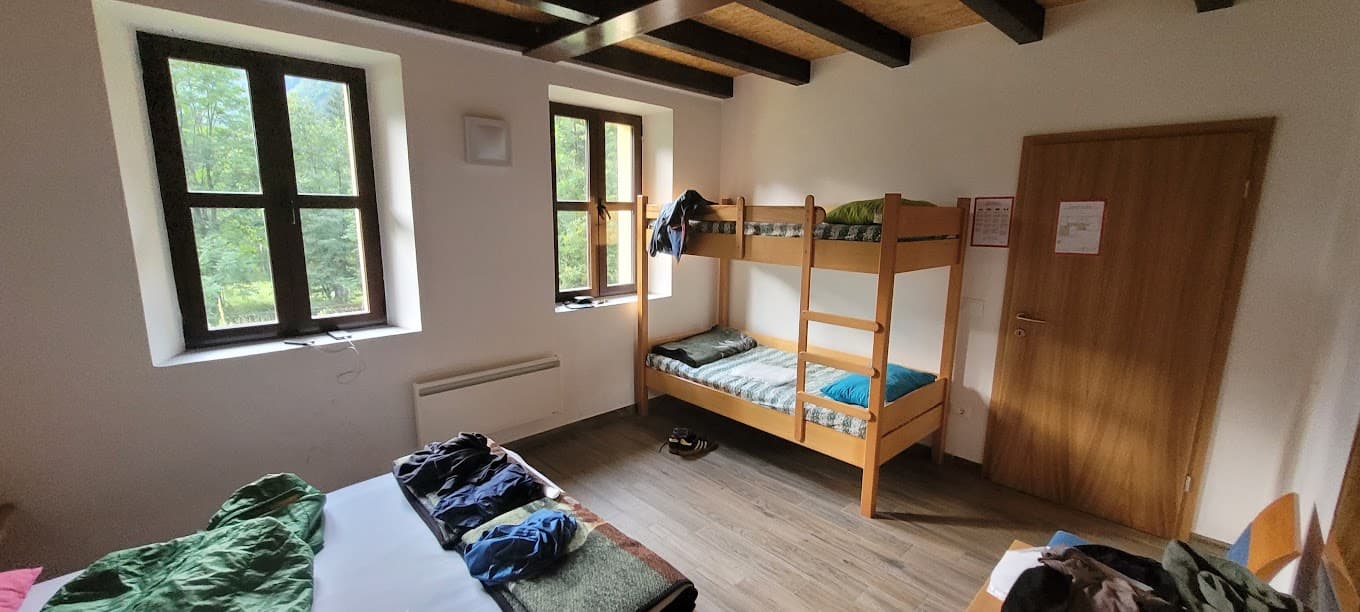 Dorm room with bunk beds, two windows showing green forest, and luggage on beds.