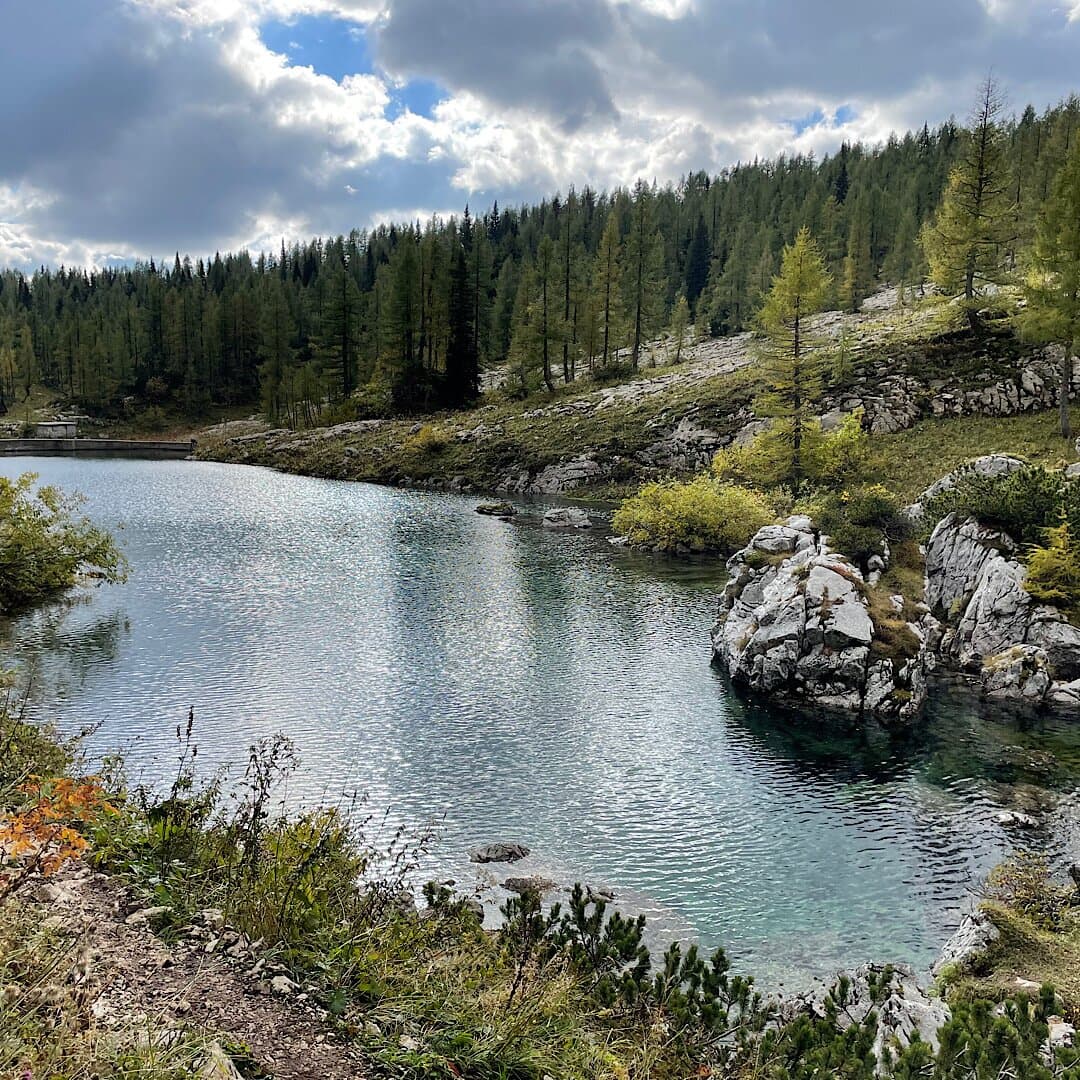 Alpine lake with clear water, rocky shore, and dense pine forest under cloudy sky
