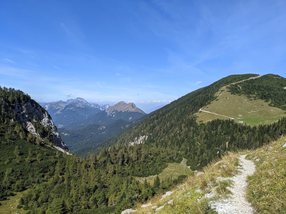 Hiking trail leading into a deep mountain valley with forested slopes under a clear blue sky.