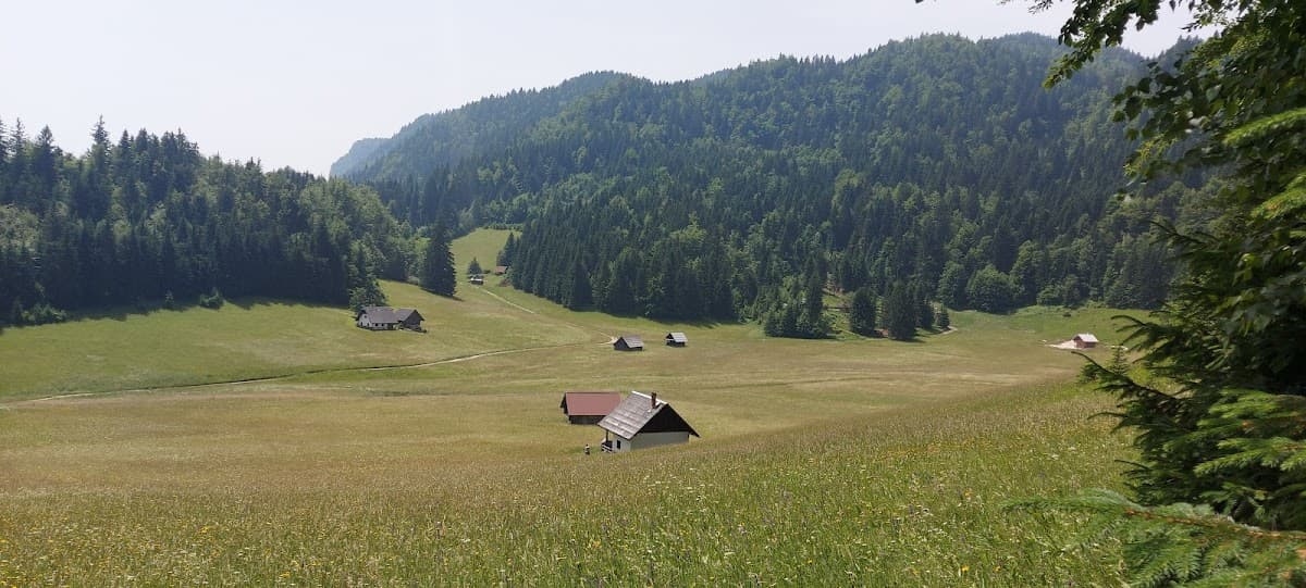 Scattered alpine cabins in a grassy meadow surrounded by dense green forest hills.