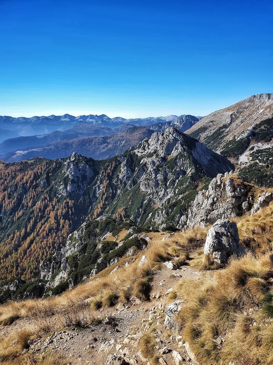 Rocky mountain trail with dry grass, evergreen trees, and autumn foliage under a clear blue sky.