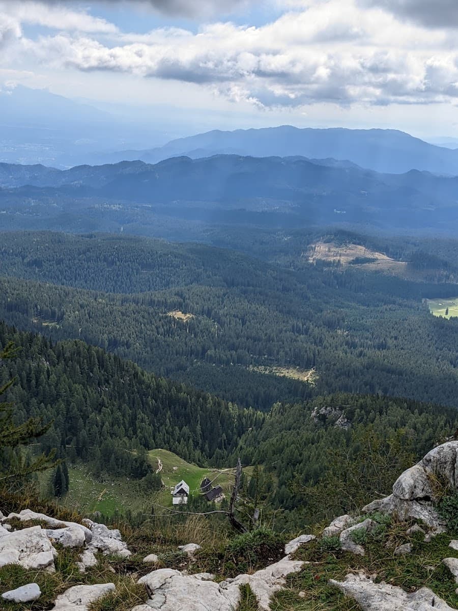 Mountain vista overlooking dense pine forest, small buildings in a clearing, and layered blue hills under clouds.