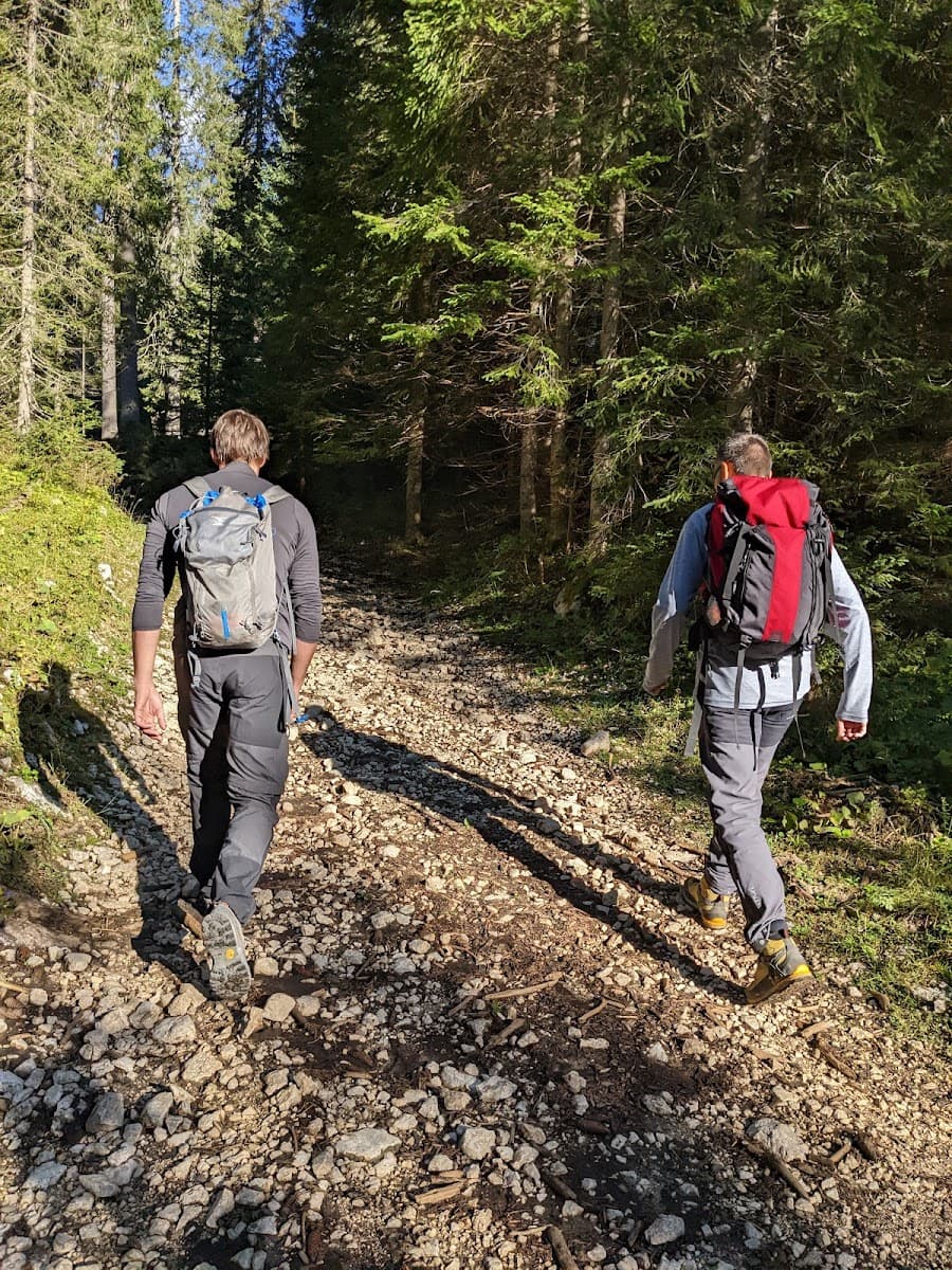 Two hikers with backpacks walk on a rocky forest trail surrounded by tall evergreen trees.