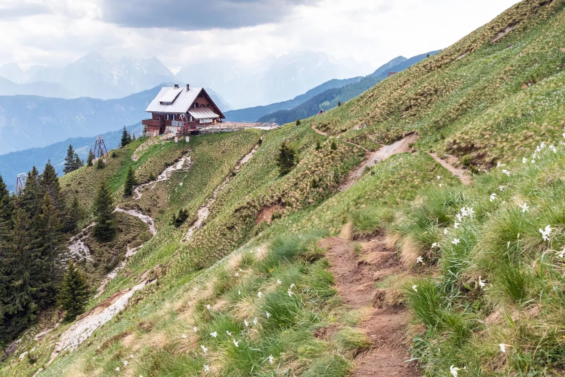 Mountain hut on grassy slope with hiking path and white wildflowers, Koca na Golici.