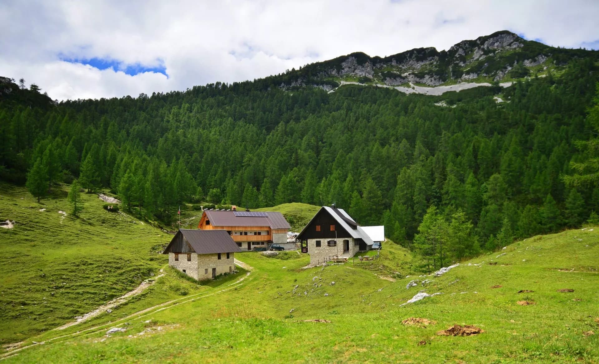 Mountain huts nestled in green alpine meadow below dense forest and rocky peaks, Blejska koča
