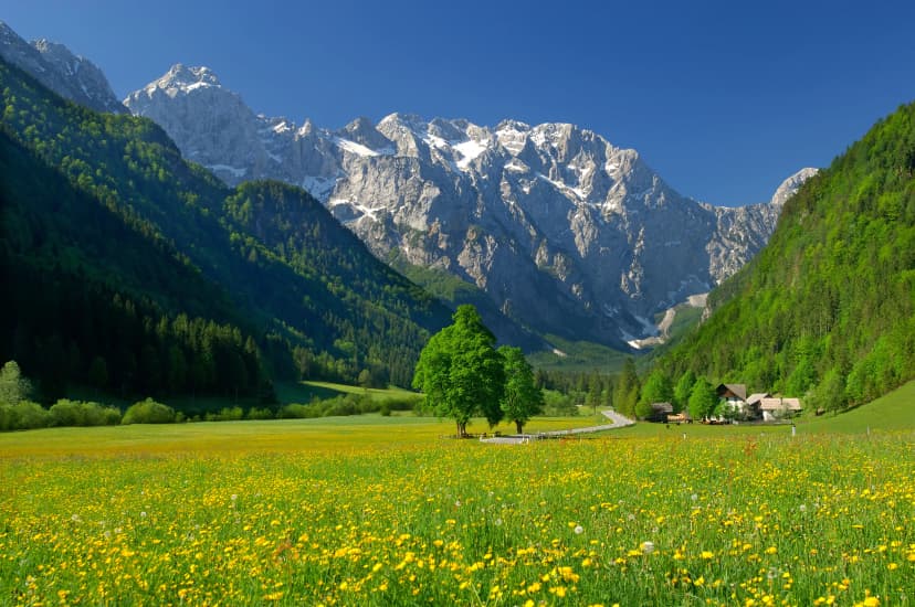 spring in alpine valley in northern slovenia