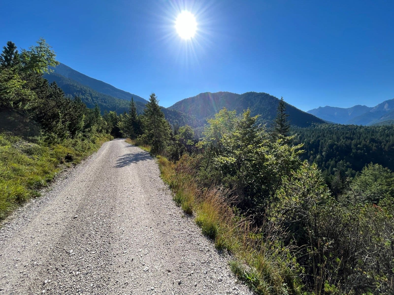 Gravel trail winding through Karawanks mountain forest under a bright sun.