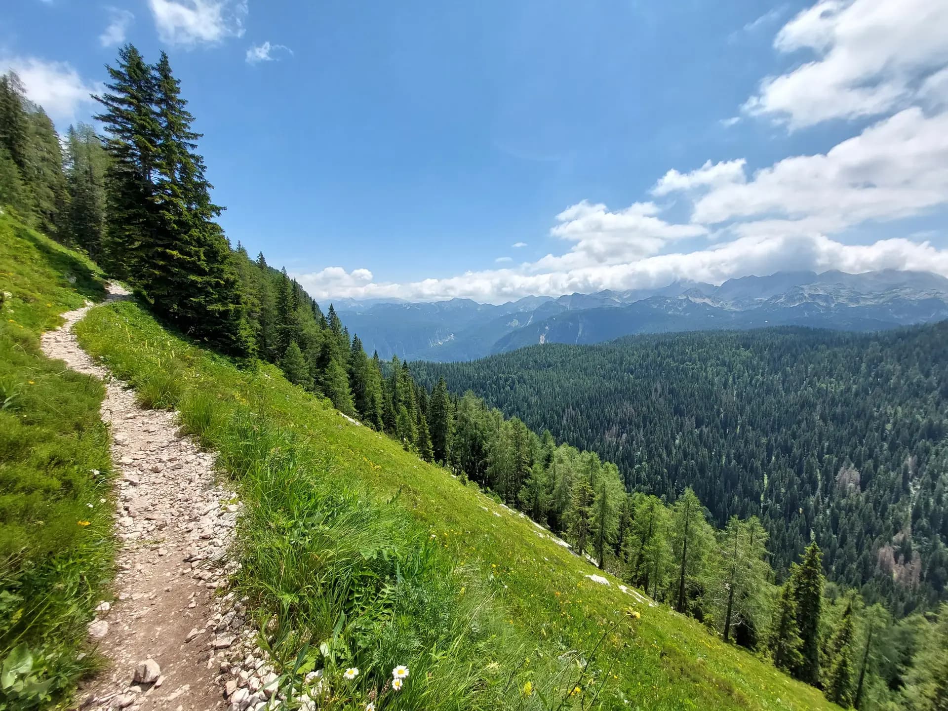 Hiking trail on a grassy mountain slope with pine forests and distant mountain peaks under a blue sky.