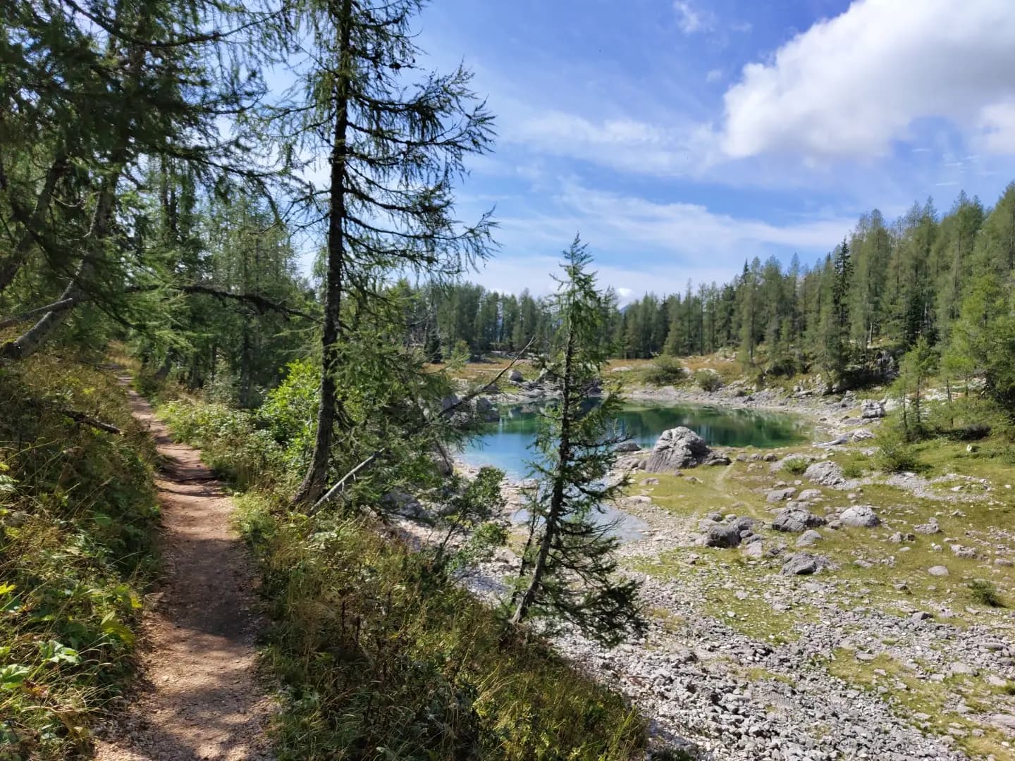 Hiking trail beside a turquoise alpine lake surrounded by pine trees and rocky terrain.
