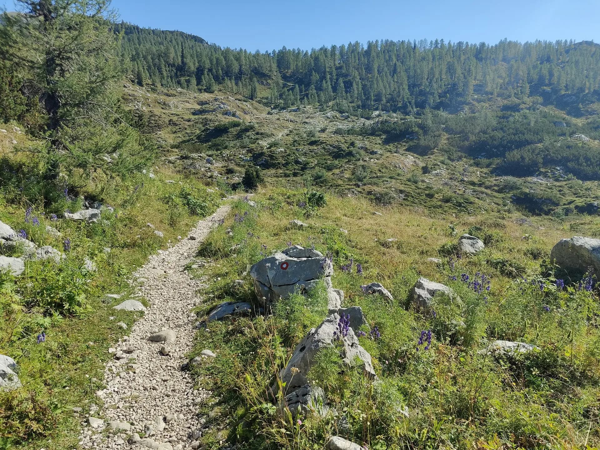 Hiking trail with red trail marker on rock in the Julian Alps, Slovenia.