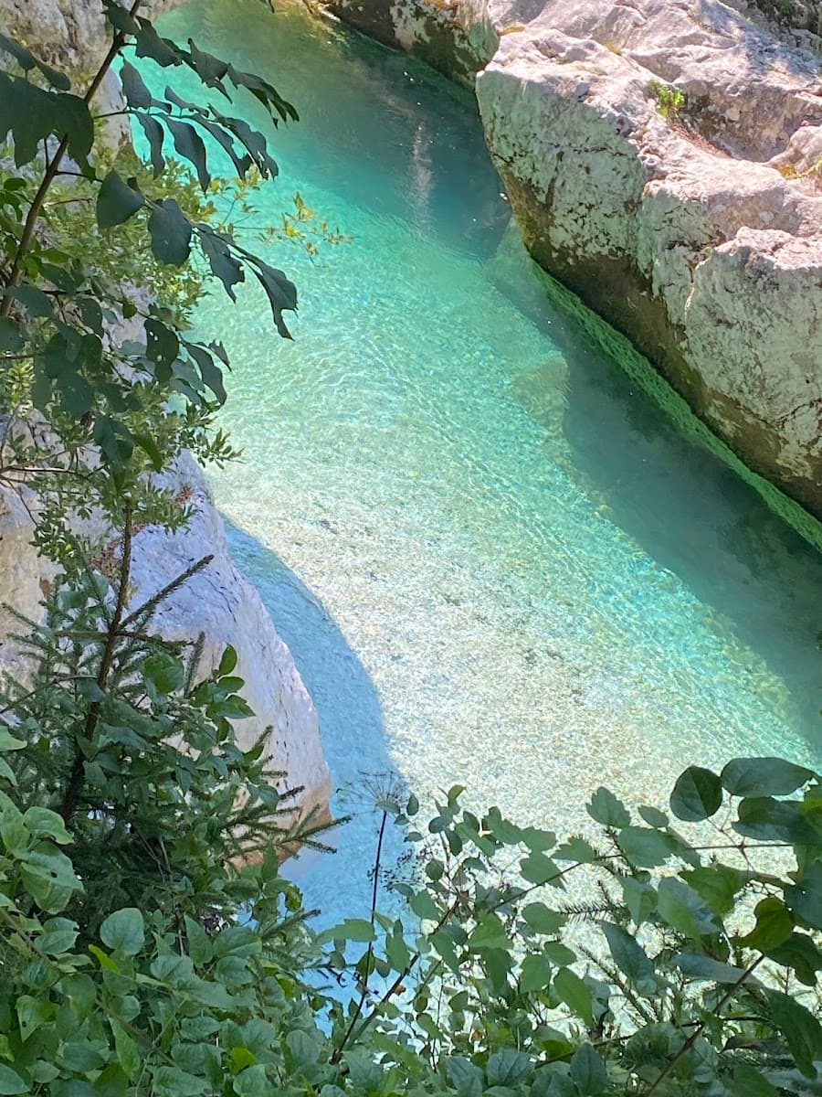 Turquoise river water flowing through a rocky gorge framed by green foliage