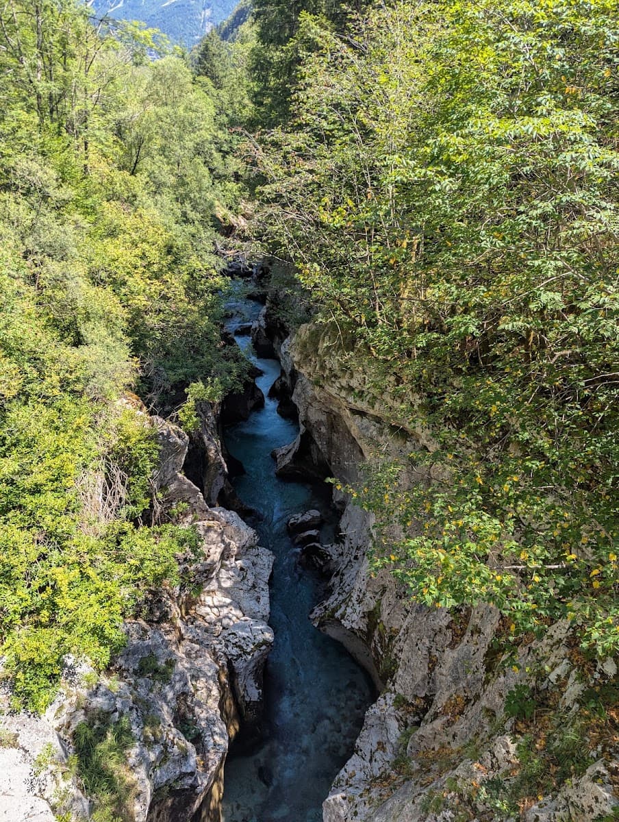 Turquoise river flowing through a rocky gorge surrounded by lush green forest