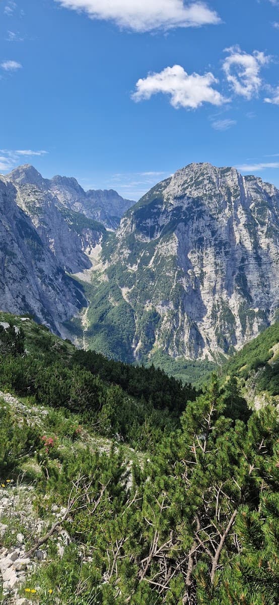 Alpine mountain peaks with rocky cliffs, green valley, and pine forest under blue sky