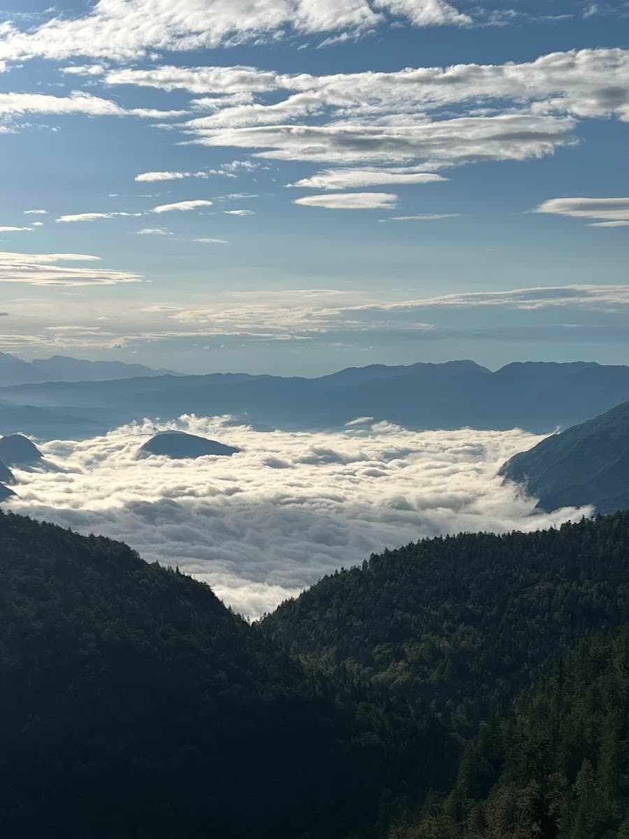 Mountain peaks rising above a sea of clouds with forested slopes below