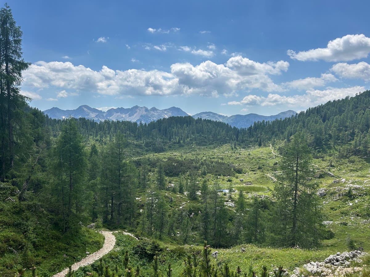 Alpine valley with pine forest, hiking trail, and distant mountain peaks under a cloudy blue sky