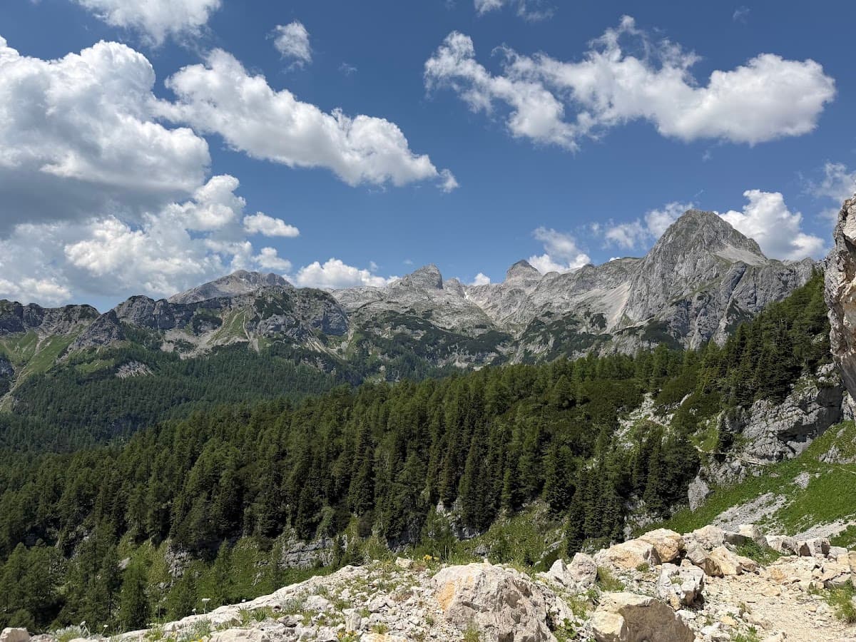 Alpine mountain peaks with green pine forest and blue sky with white clouds