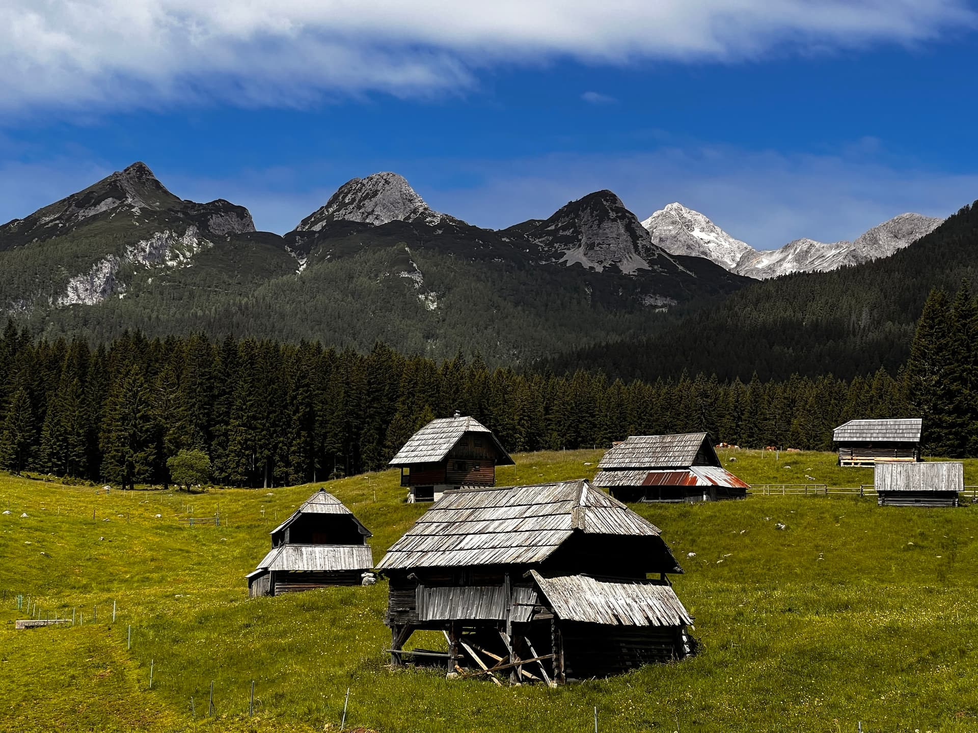 Wooden herder huts in alpine pasture meadow below mountain peaks and pine forest