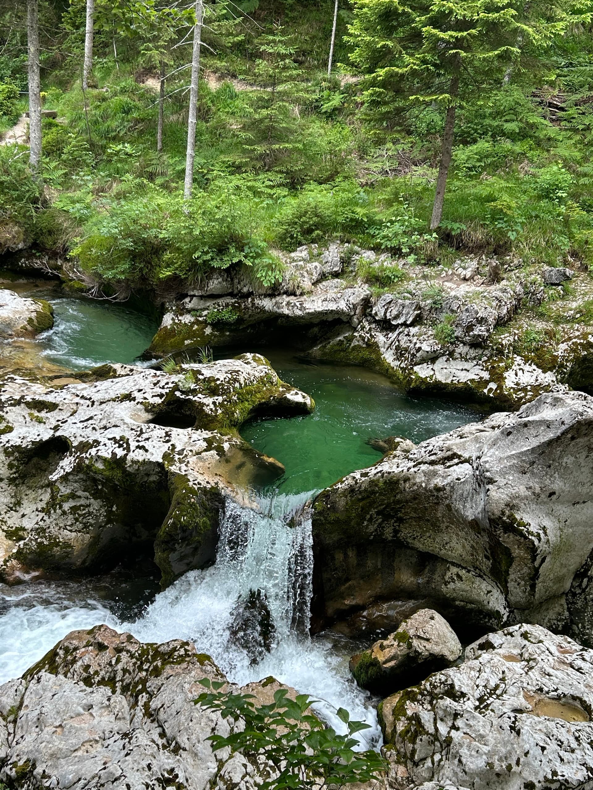 Waterfall flowing between mossy rocks into green pools in a forest gorge