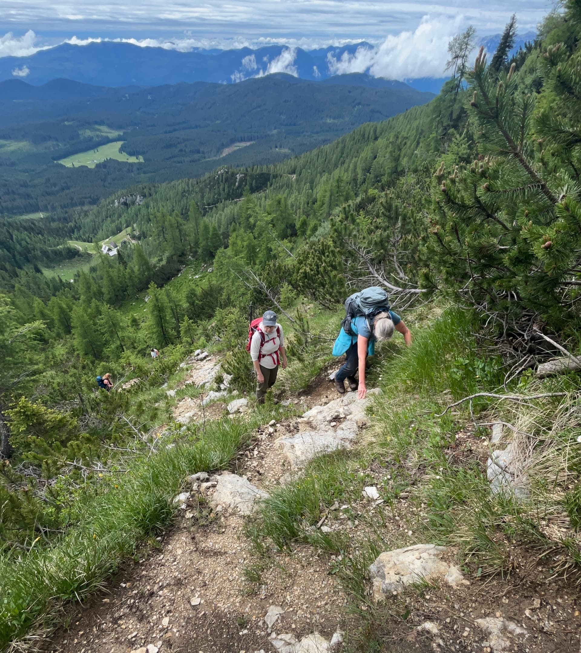 Hikers climbing a steep mountain ridge trail with forest and valley views