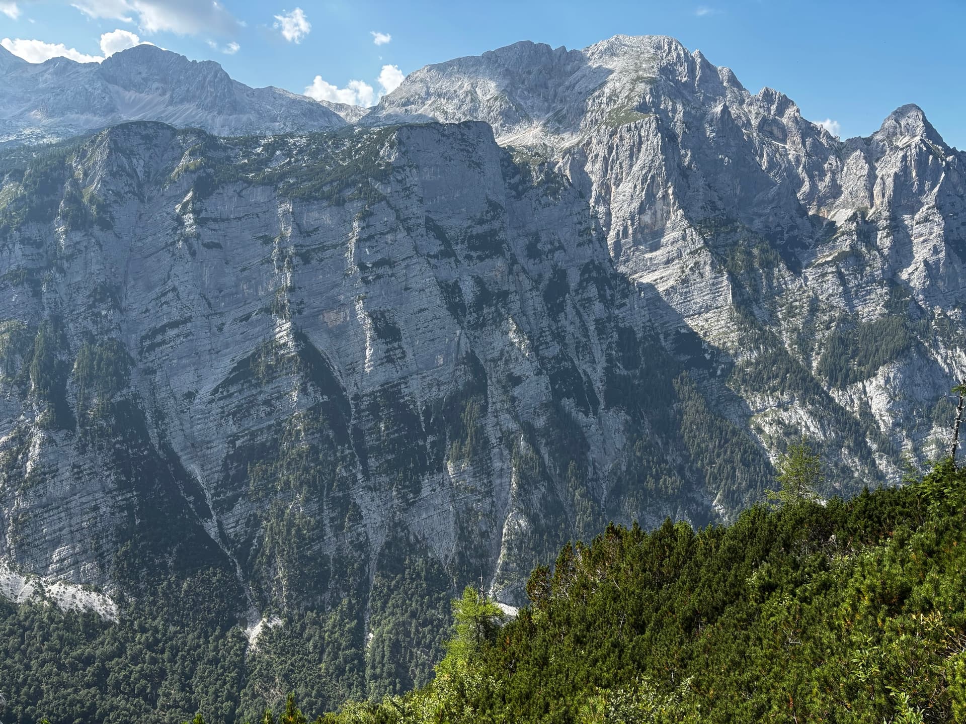 Massive limestone mountain wall rising above a dense green pine forest