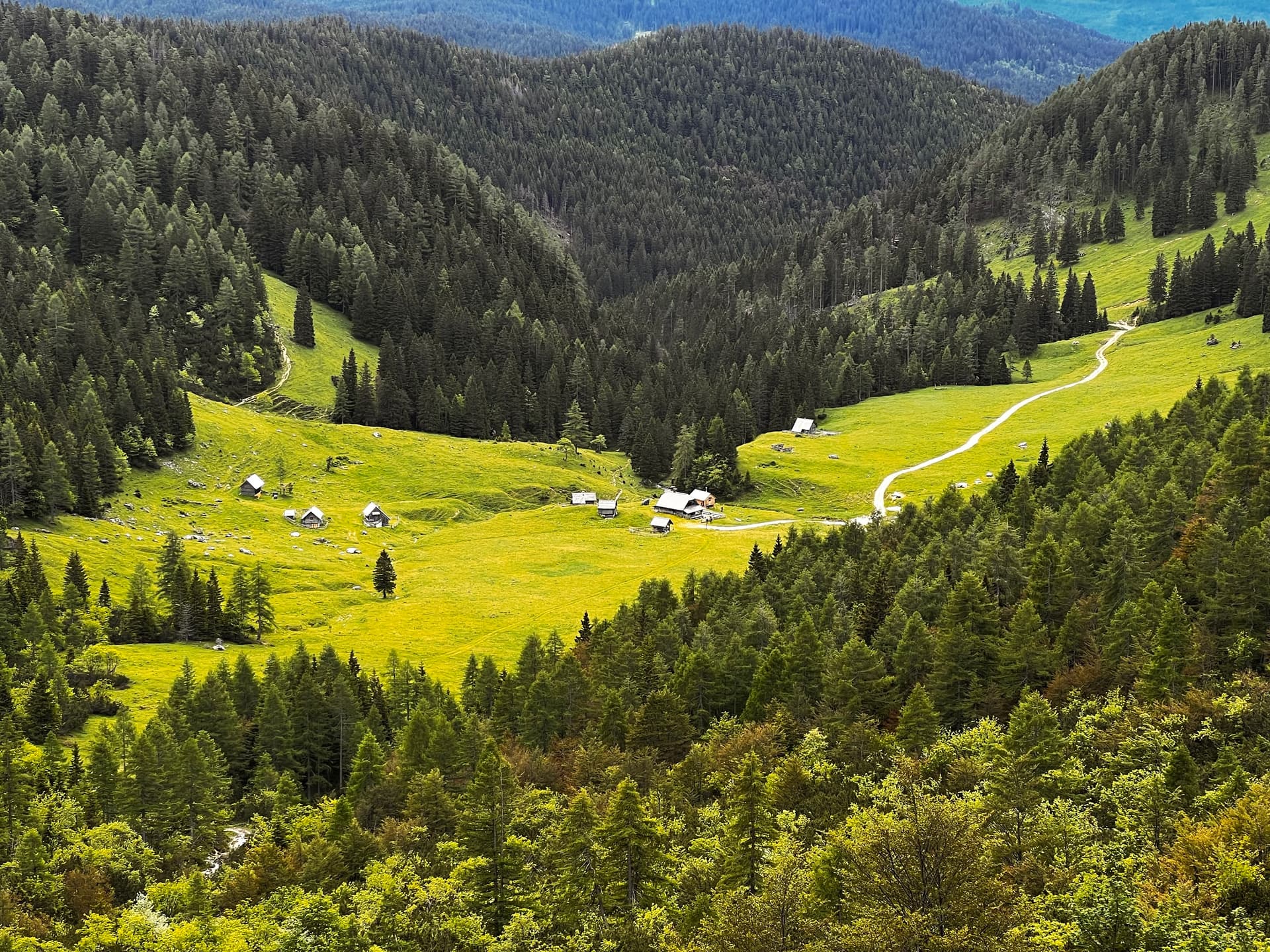 Green valley with pasture huts and pine forests in mountain landscape