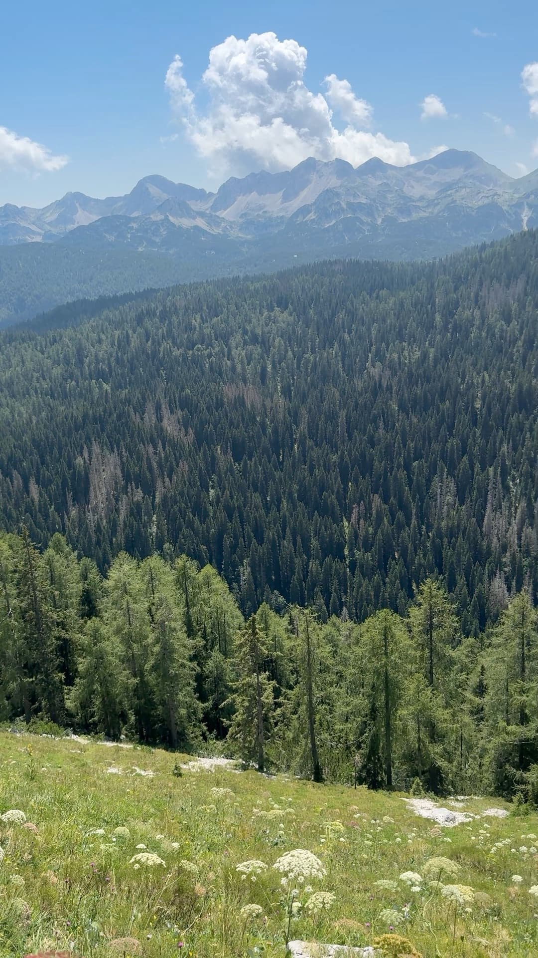 @hikingtours