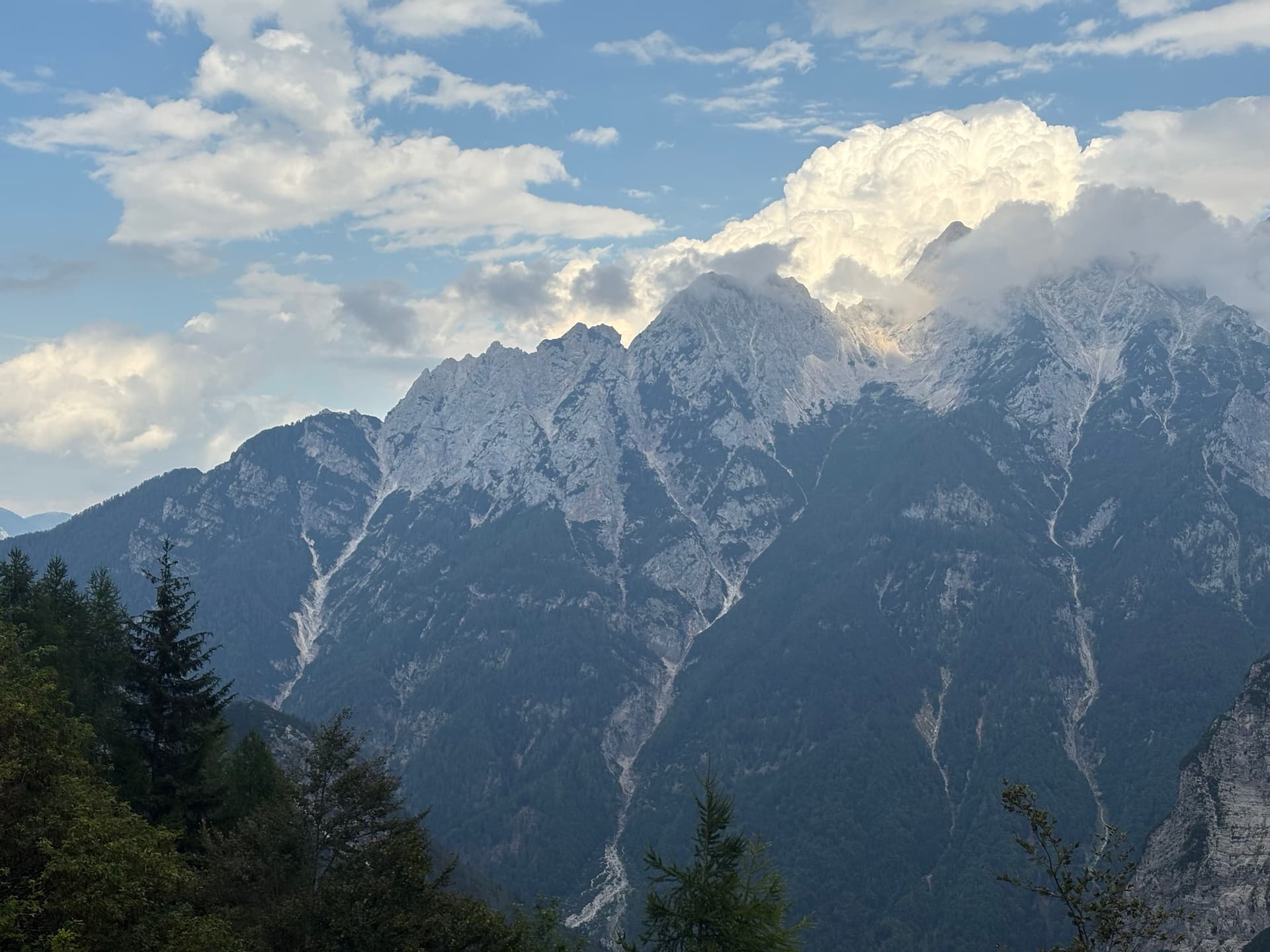 Julian Alps ridge with cloud-capped mountain peaks and pine forest foreground