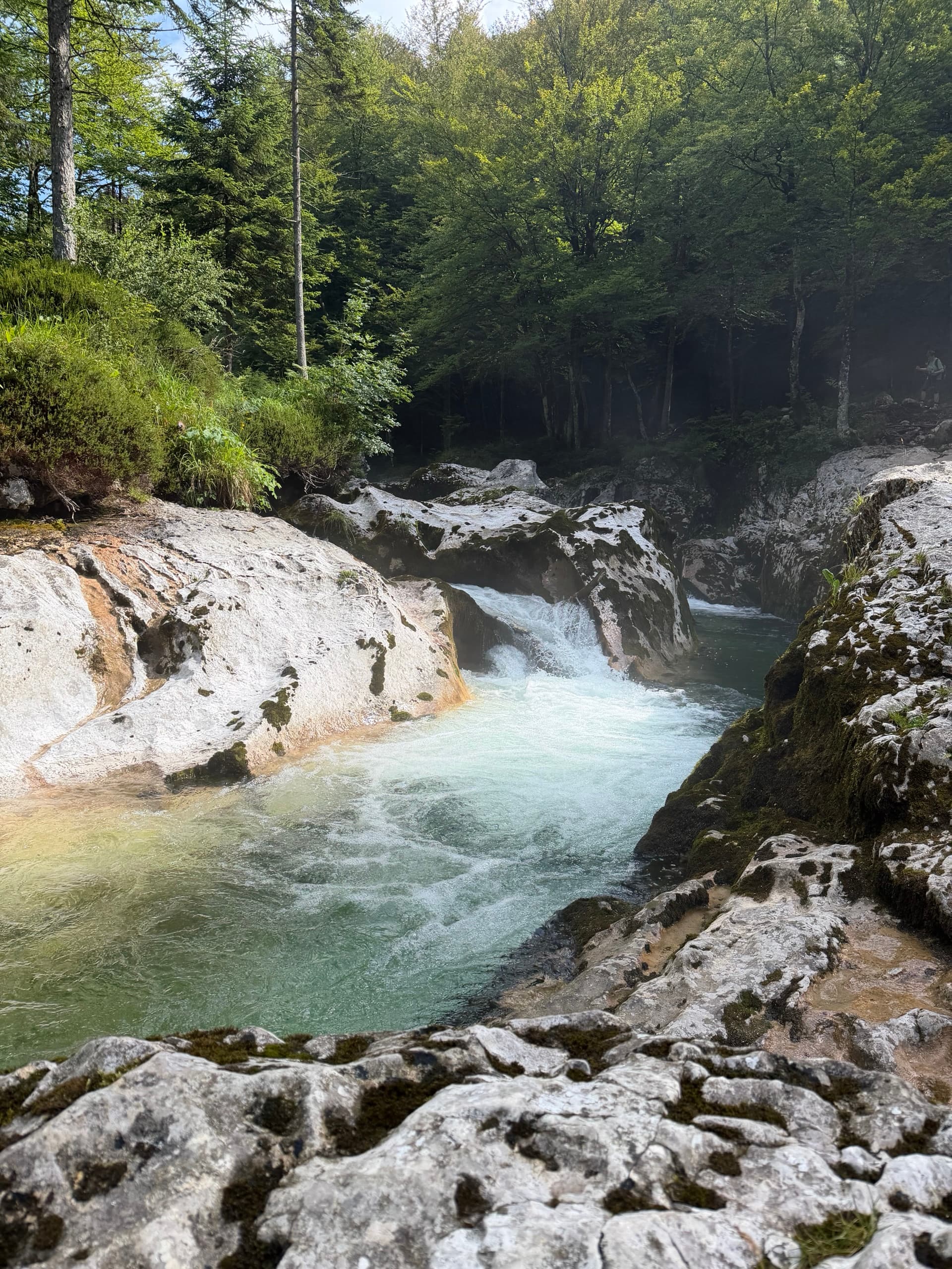 Waterfall flowing into turquoise pool surrounded by rocks and forest