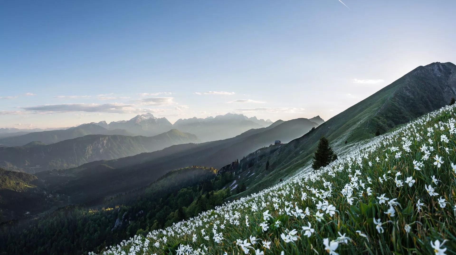 Points forts de la randonnée sur le sentier de montagne slovène