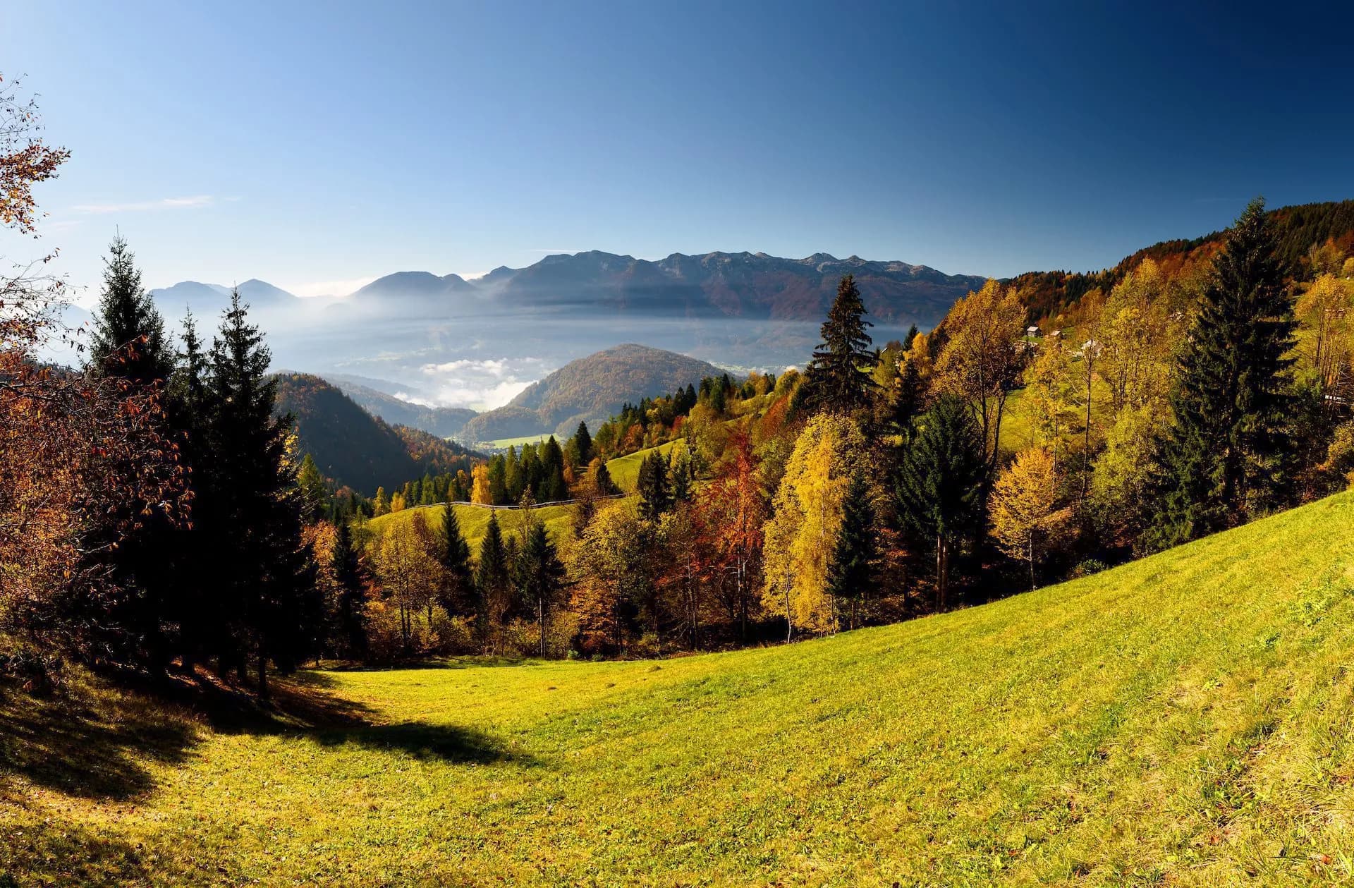 Rolling green meadow overlooking Pokljuka valley with autumn forests and distant mountains