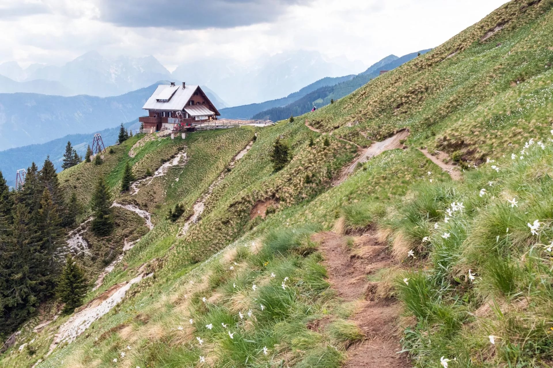 Mountain hut on grassy slope with hiking path and white wildflowers, Koca na Golici.