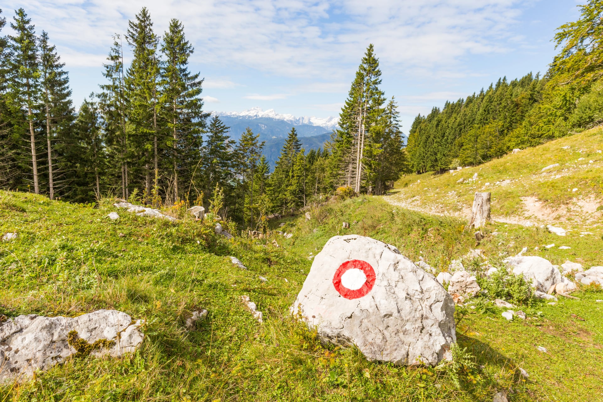 Trail sign huge rock footpath red circle blazing.