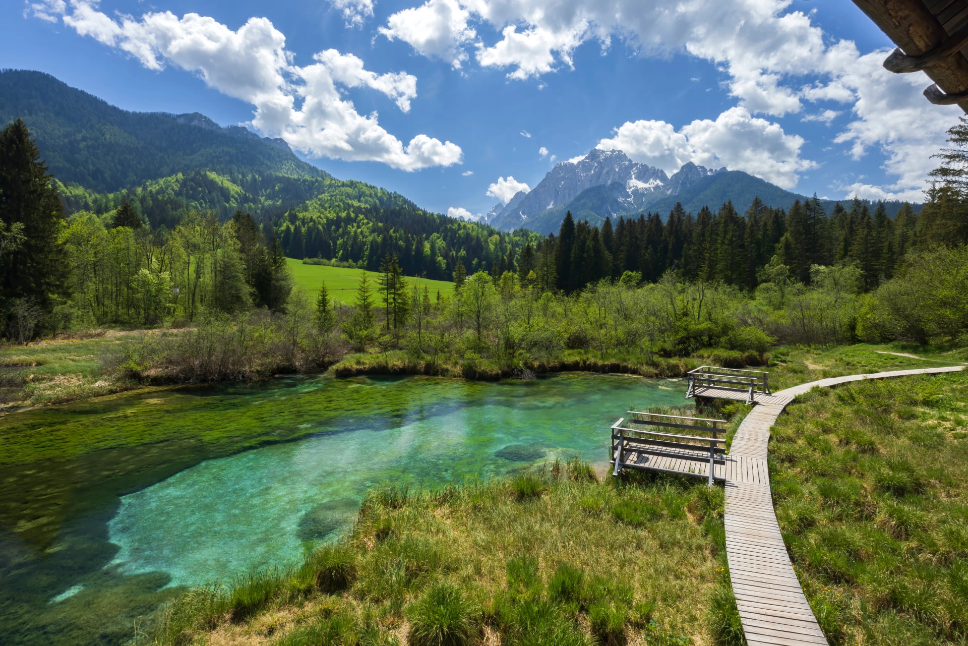 Lente landschap in Zelenci, Slovenië