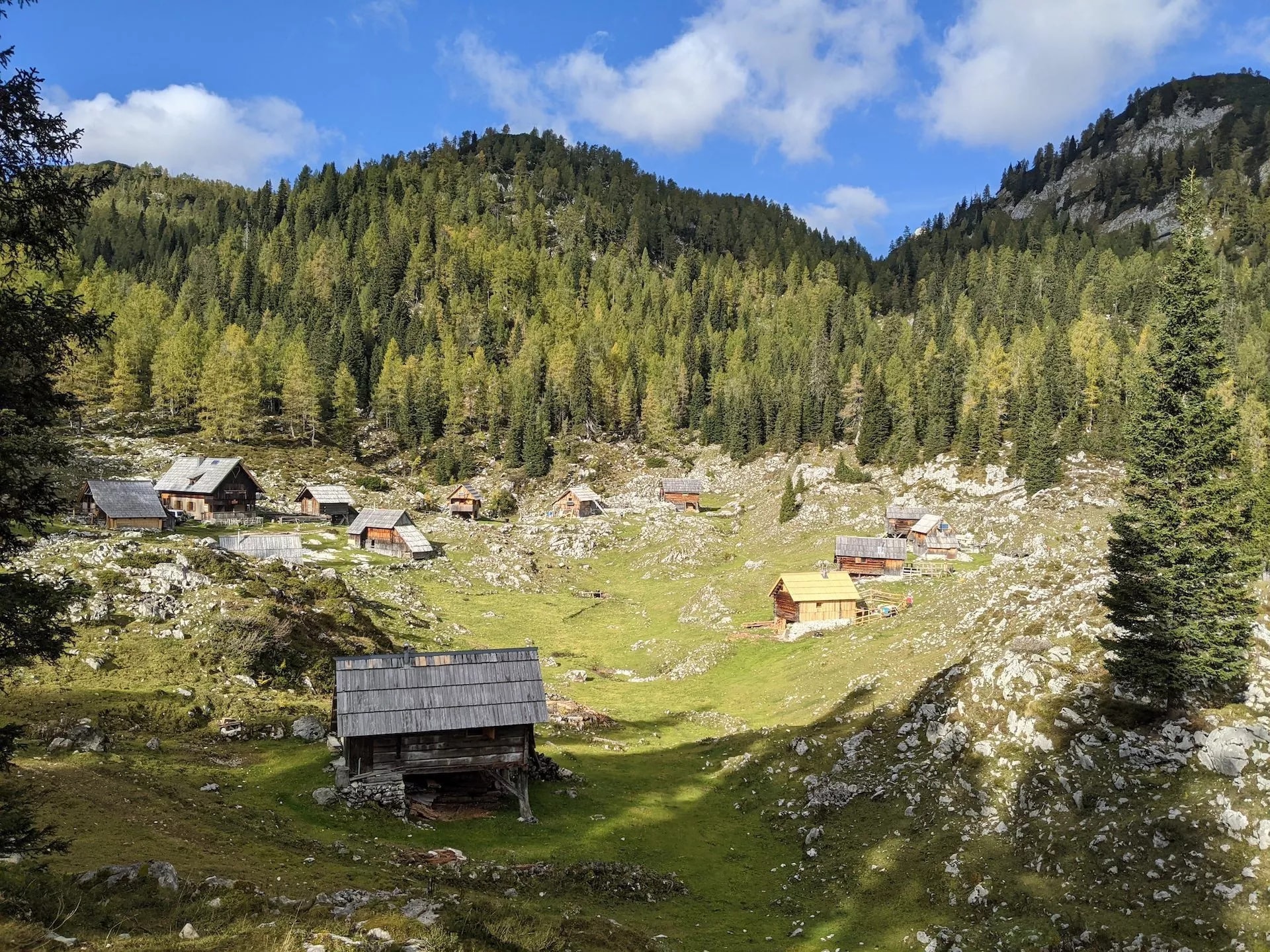 dedno polje pasture