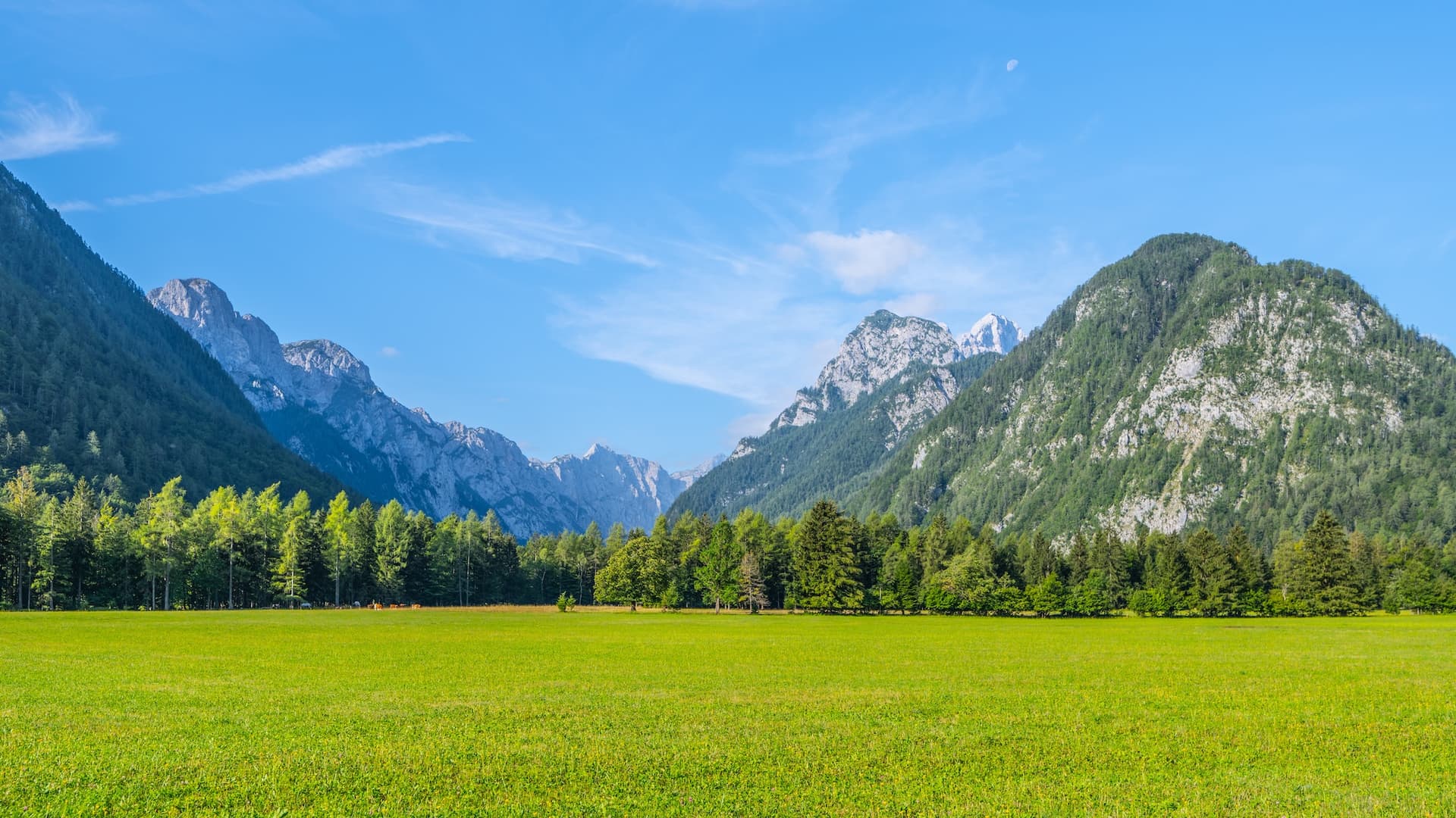 Green meadow leading to a line of trees and steep, forested mountains under a blue sky with the moon visible.