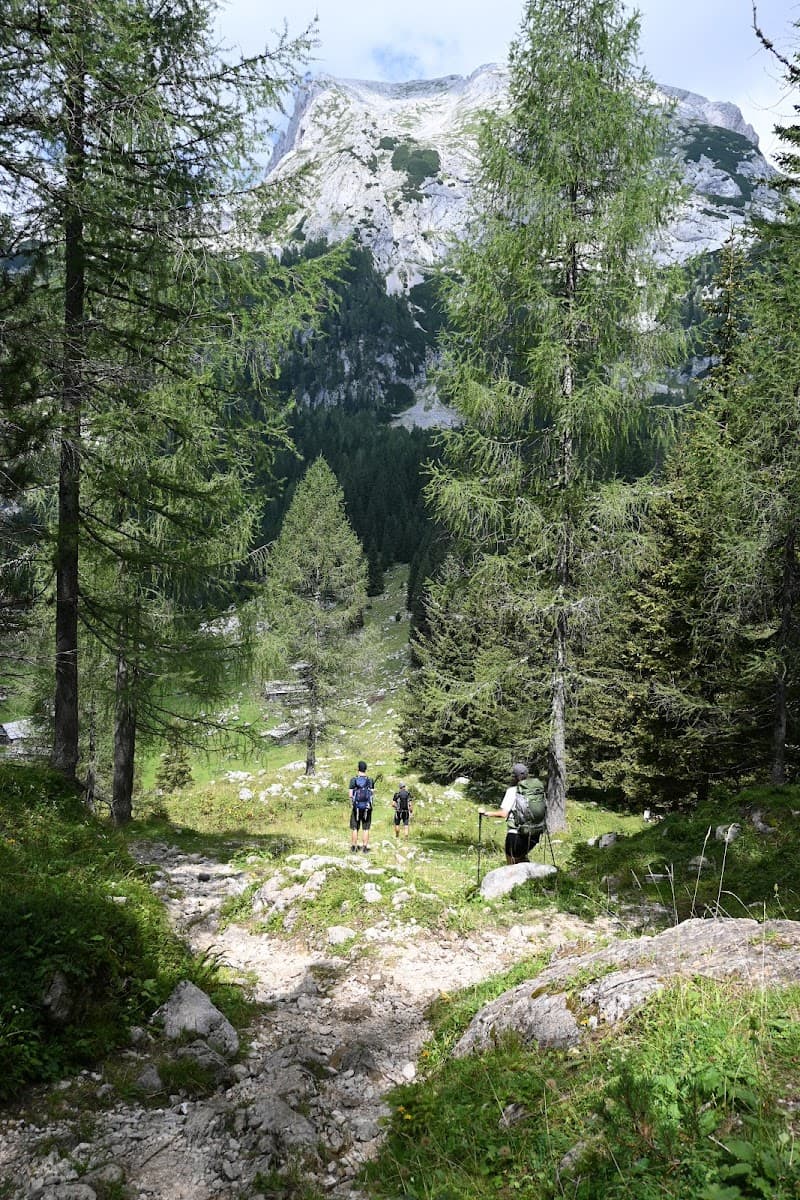 Hikers on rocky trail descending toward alpine meadow with pine forest and white mountain peak.