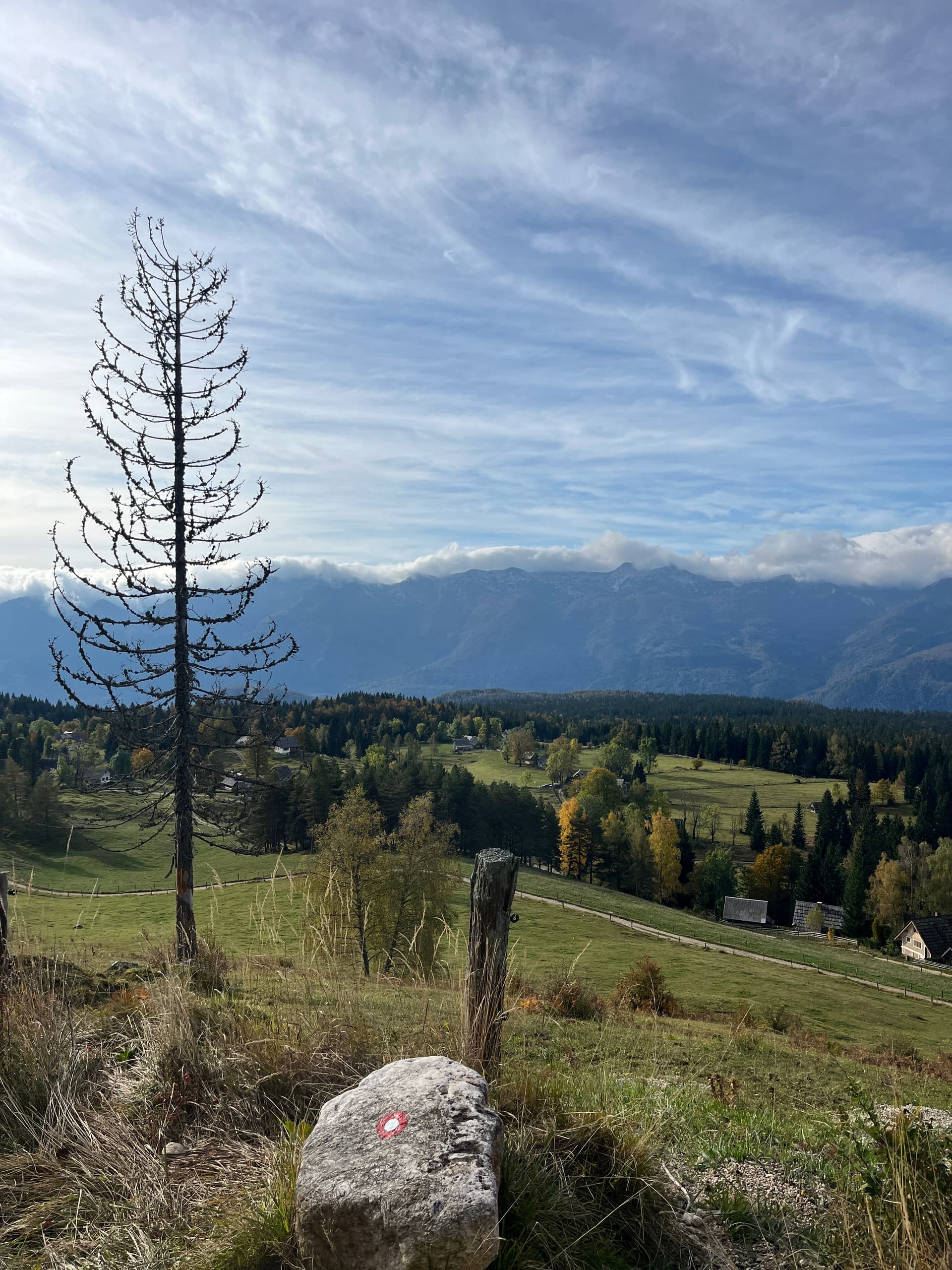 Hiking trail marker on rock overlooking alpine valley with autumn trees and distant mountains.