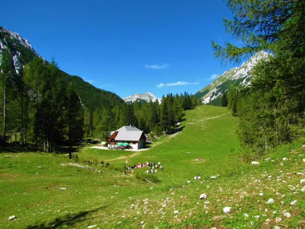 Mountain hut on green alpine meadow surrounded by pine forest and rocky peaks under blue sky