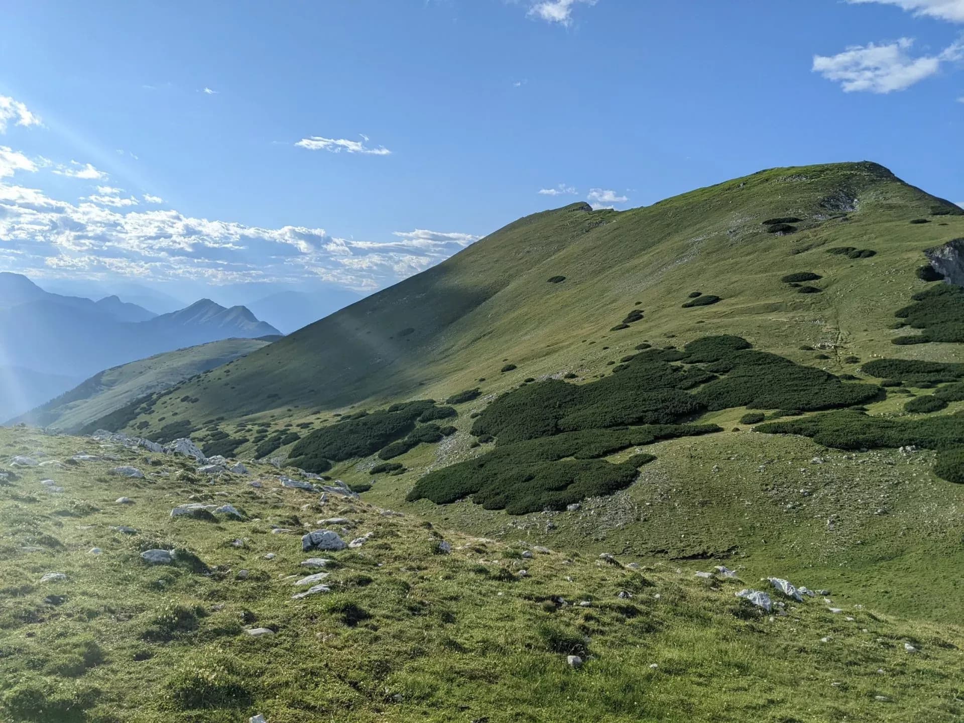 Grassy mountain slope with scattered rocks and dark green shrubs under a bright blue sky.
