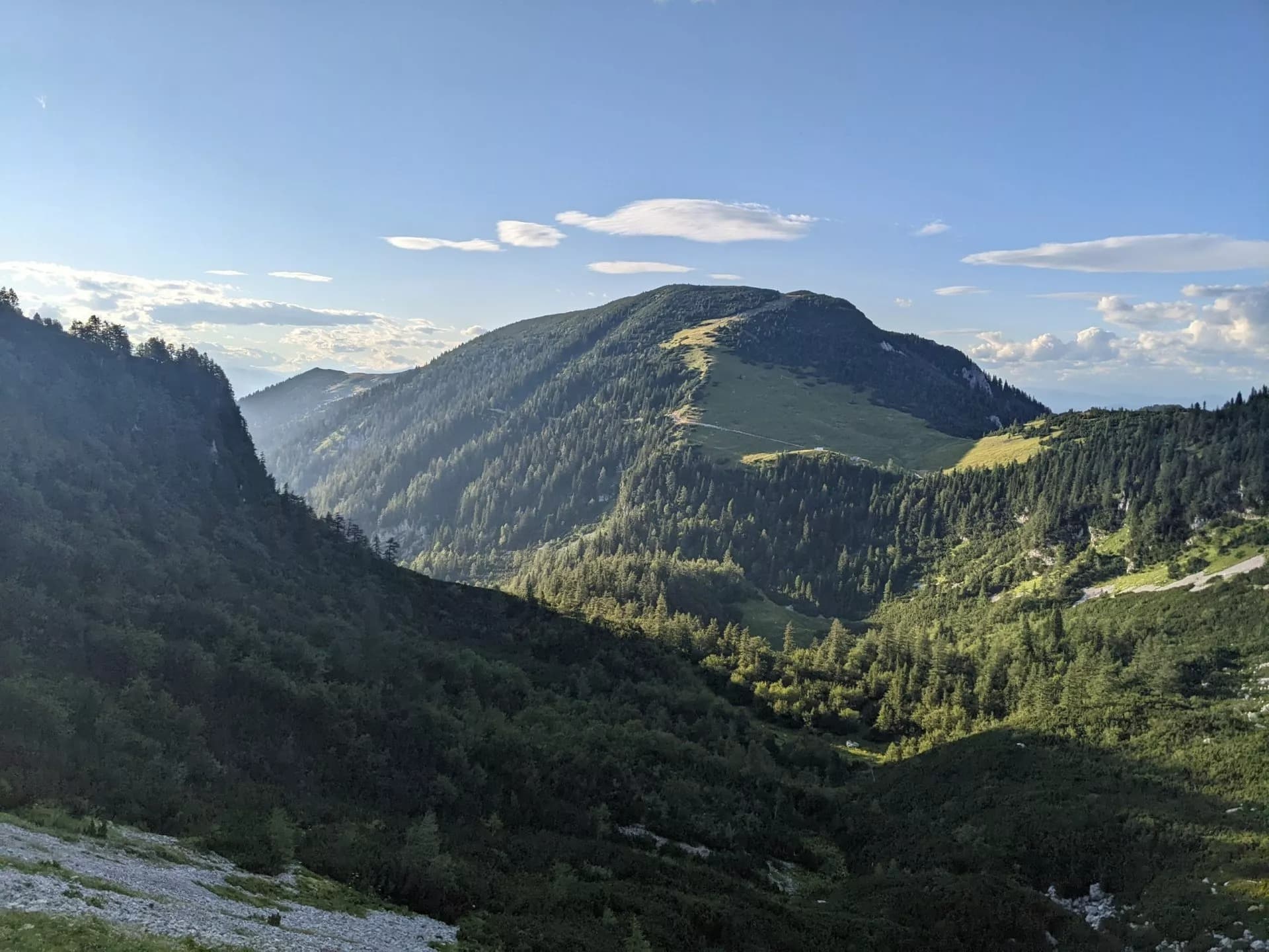 Mountain valley with dense green forest and grassy slopes under a blue sky near Belska Planina.