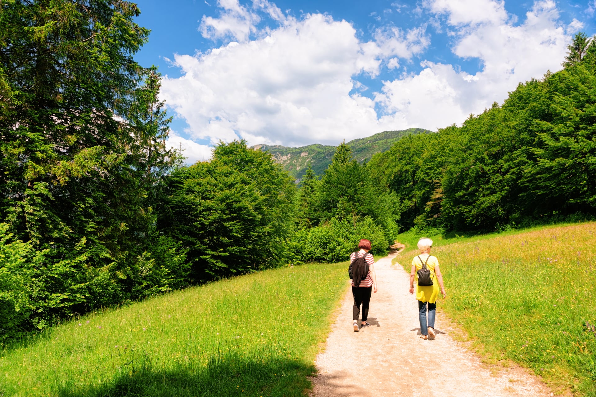 Uitzicht op het Bohinj-meer in Slovenië. Mensen met een rugzak wandelen en natuur in Slovenië. Rugzaktoeristen in een groen bos. Prachtig landschap in de zomer. Alpen reisbestemming. Alpen bergen