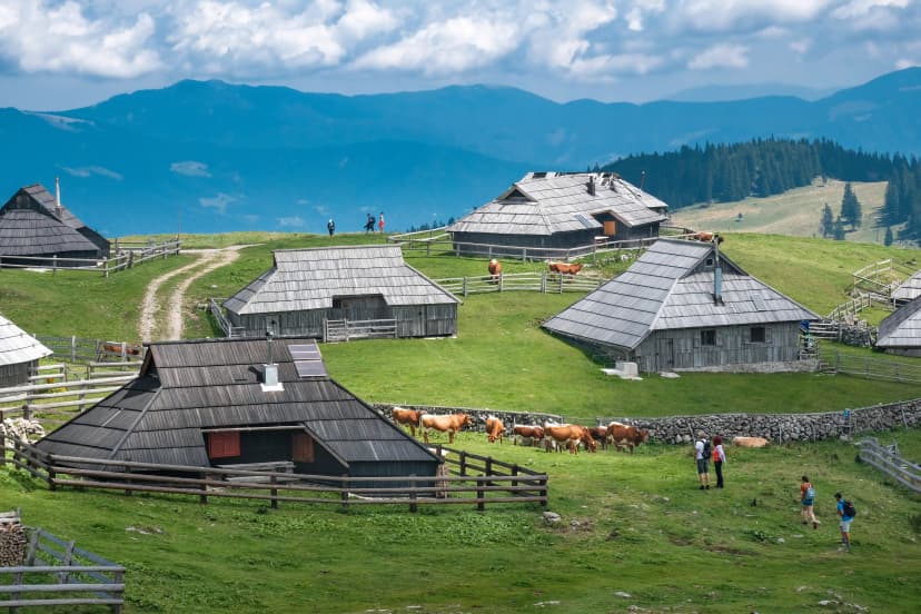Pastures with traditional wooden cottages in village on Velika planina (Big Pasture Plateau), Kamnik, Slovenia