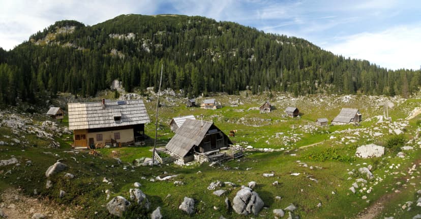 Planina Dedno Polje mountain pasture in Julian Alps in Slovenia