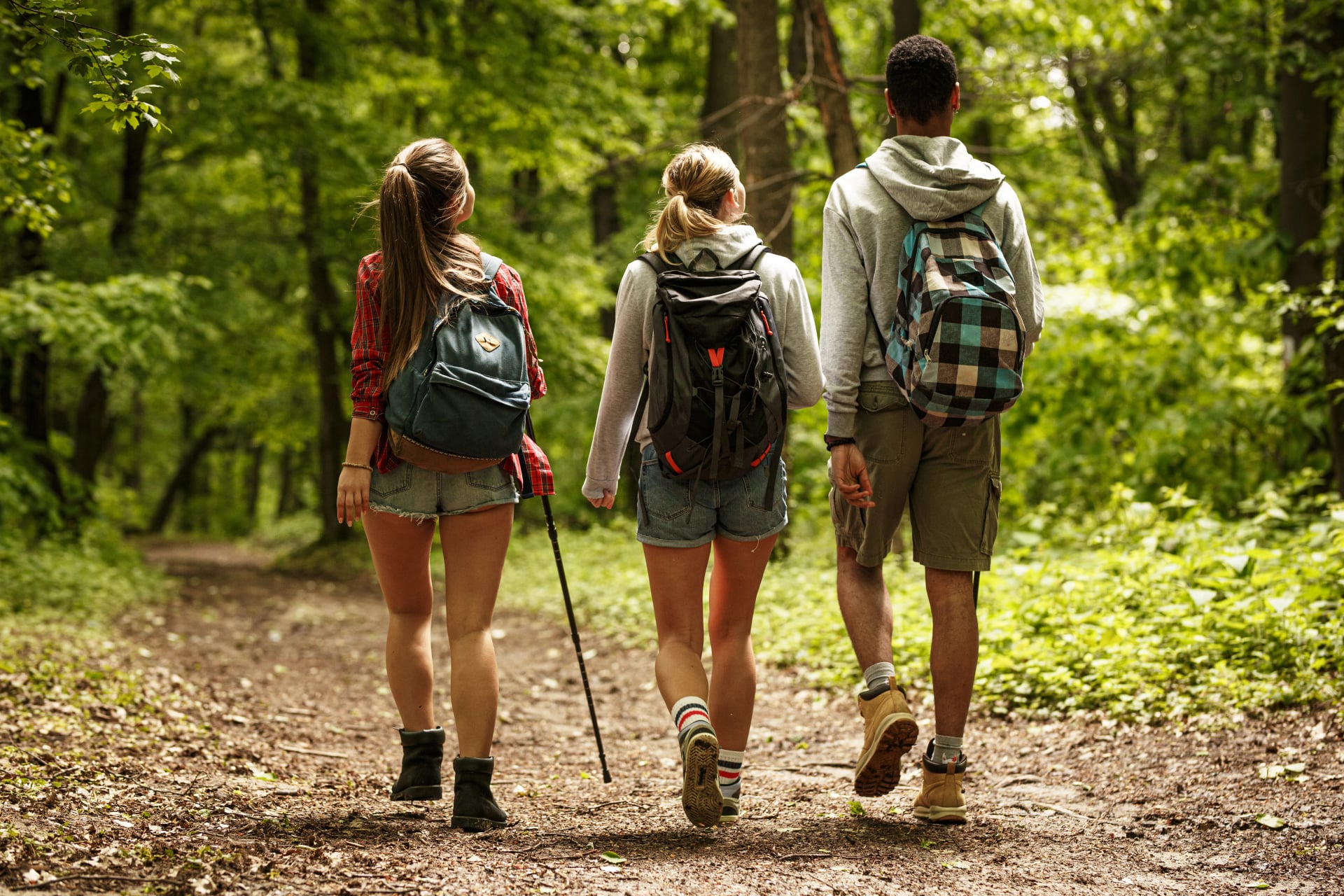 Group of friends hiking together in nature.They walking on old path.Rear view.
