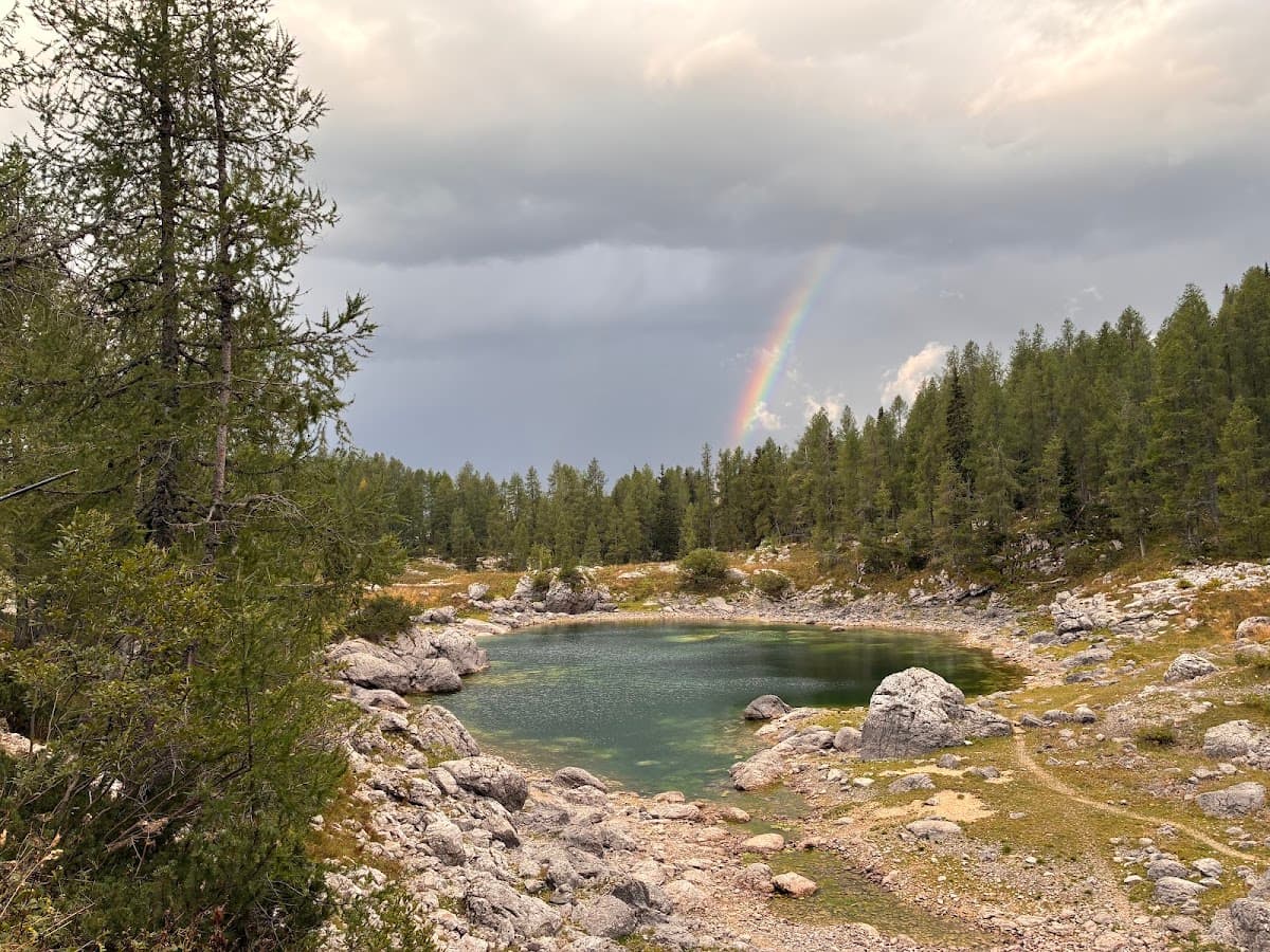 Rainbow over alpine lake surrounded by rocky terrain and pine forest