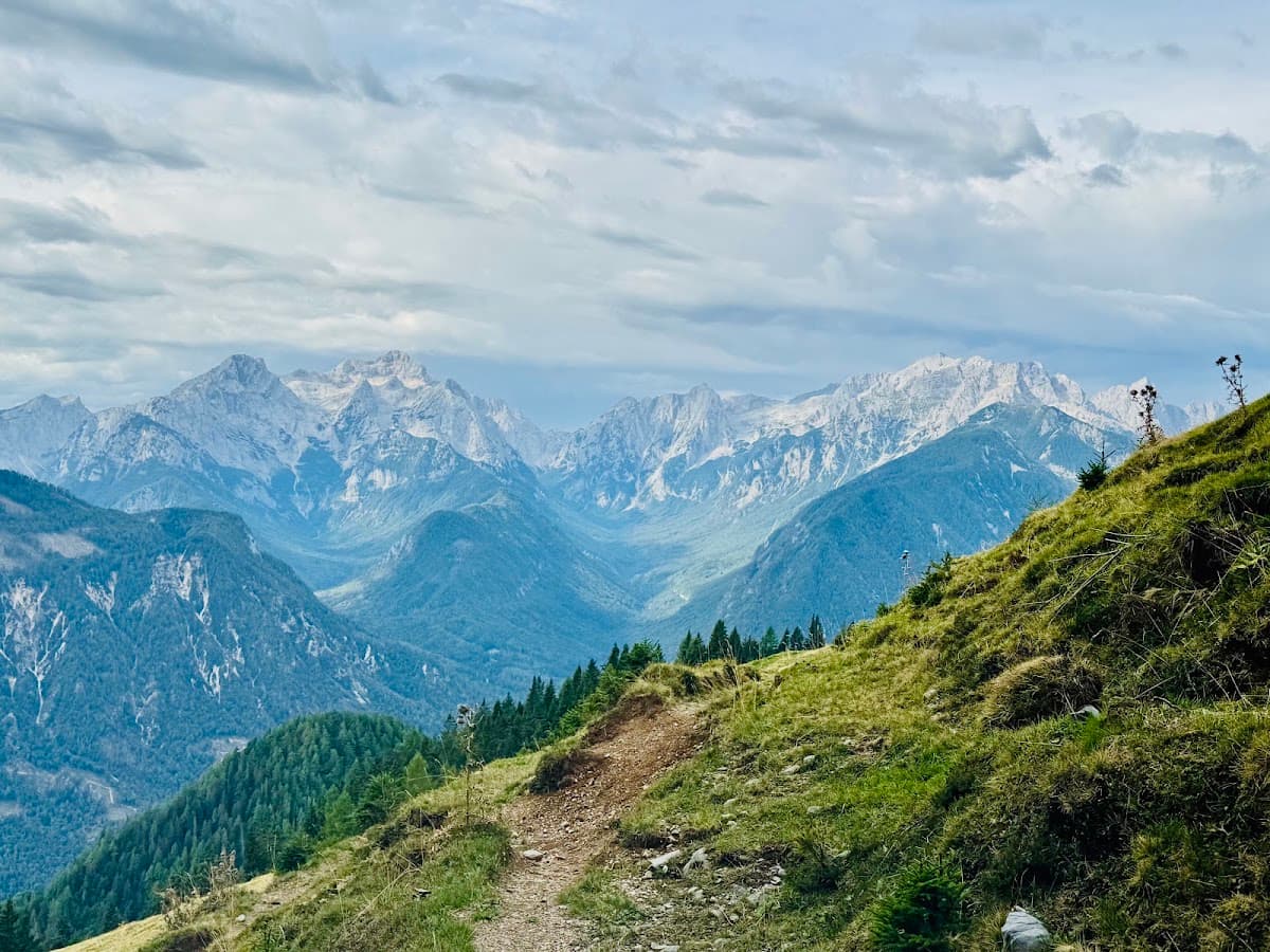 Hiking trail overlooking alpine mountain peaks and forested valley under a cloudy sky