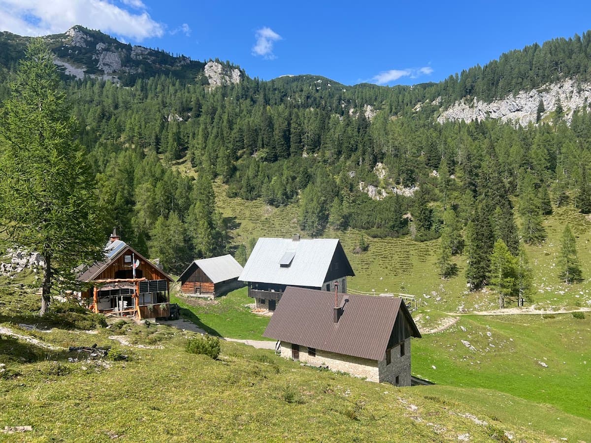 Alpine mountain valley with traditional stone and wood cabins surrounded by pine forests and grassy slopes