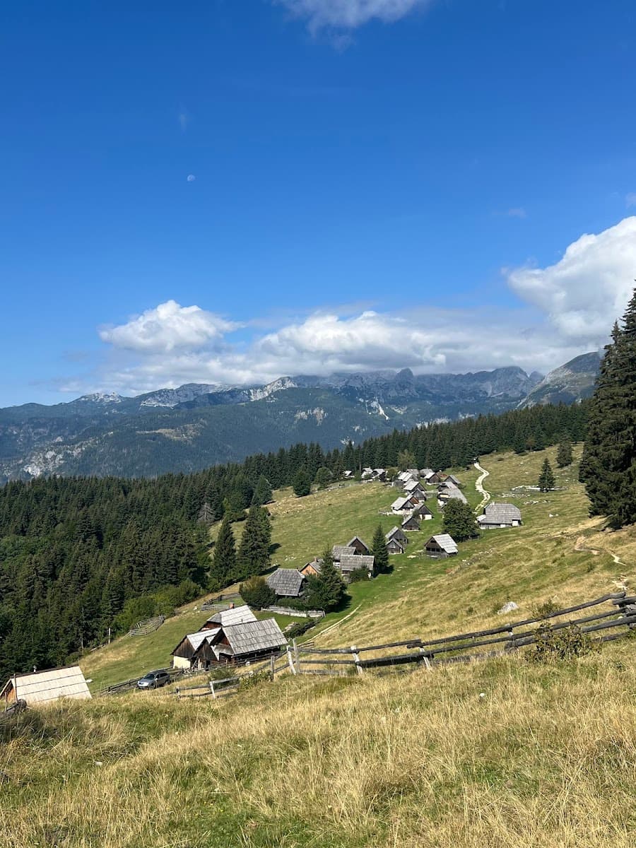 Alpine village with wooden cabins on grassy hillside with mountains and pine forest